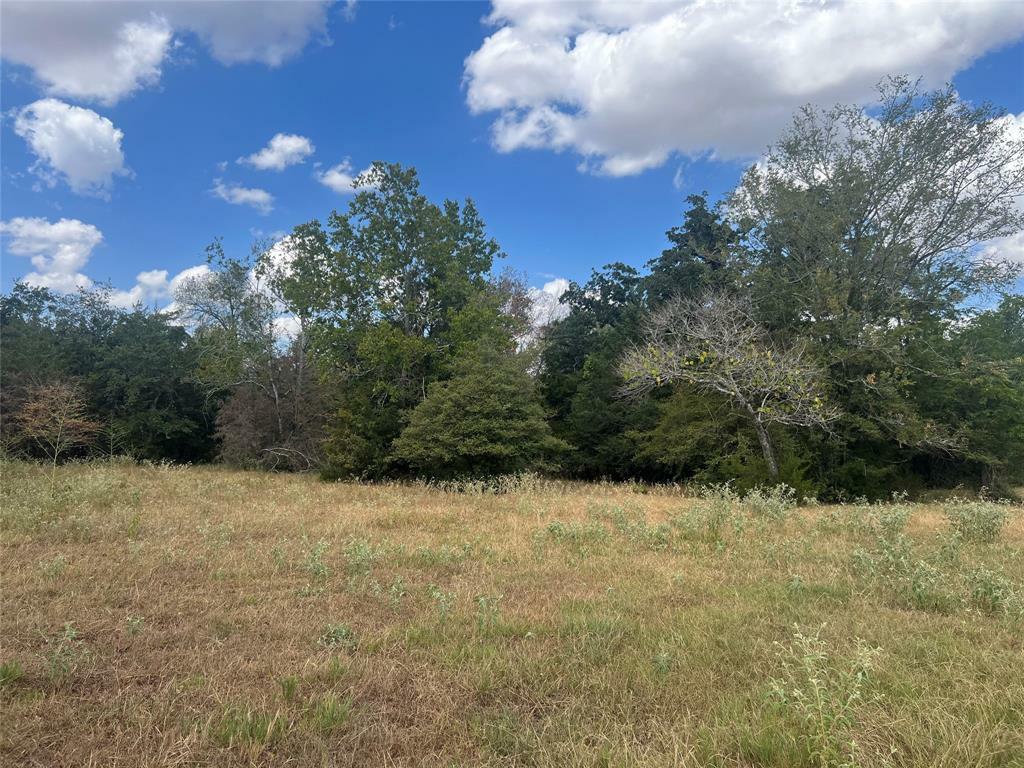 Property Photo:  27141 Rock Island Road  TX 77445 