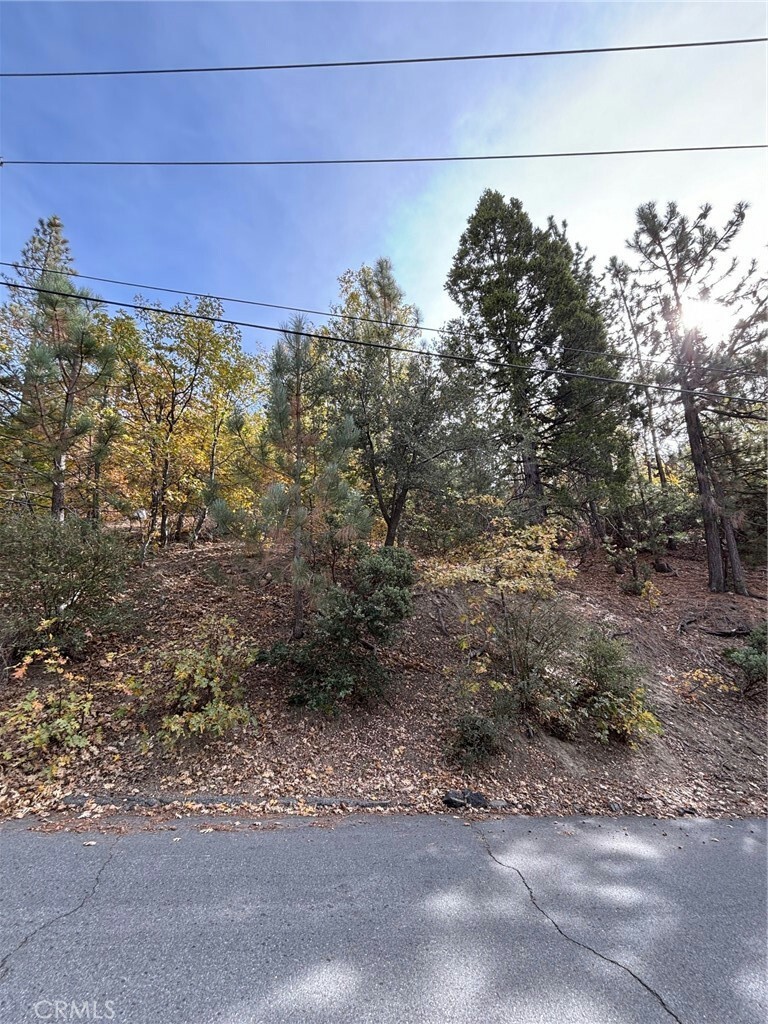 Property Photo: 0 Manitoba Drive CA 92352