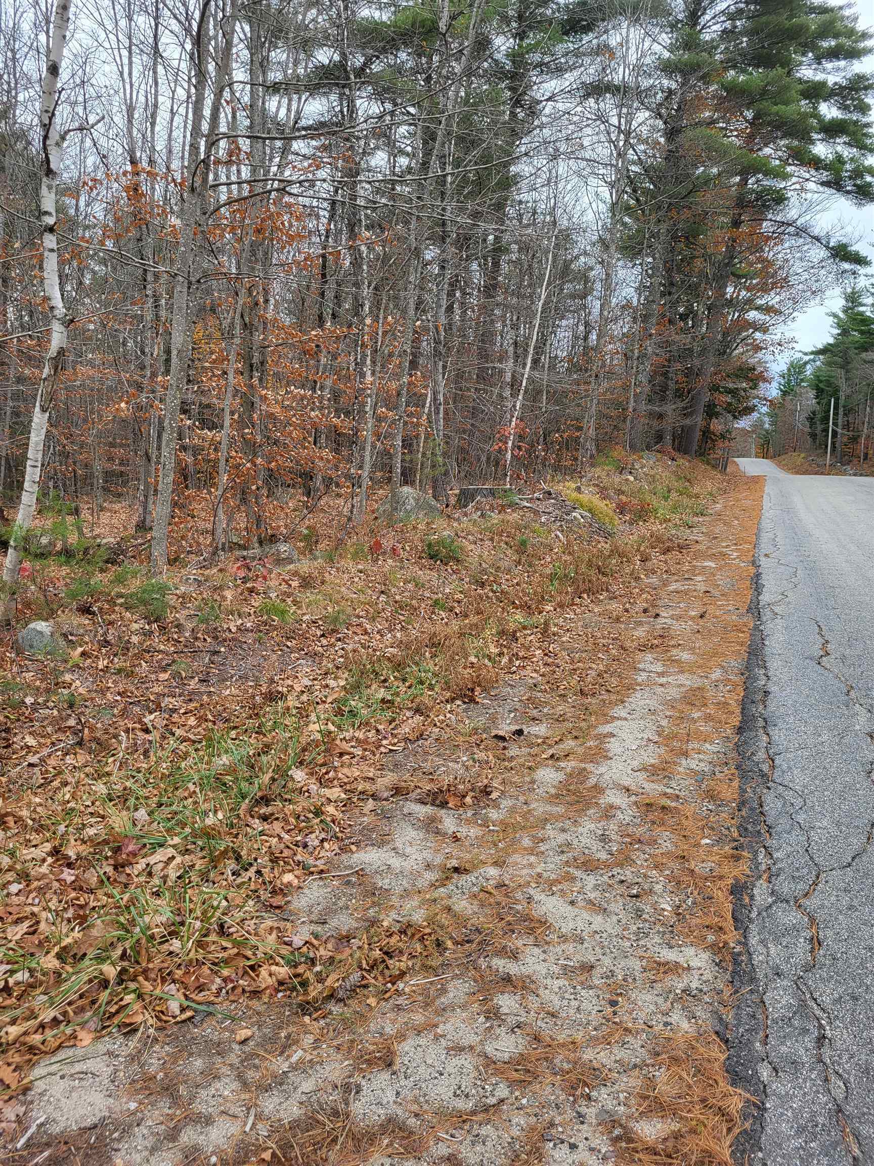 Property Photo:  00 Rice Hill Road  NH 03836 