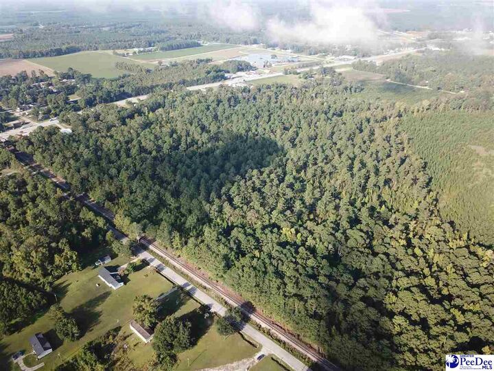 Tbd Shaw Drive  Hartsville SC 29550 photo