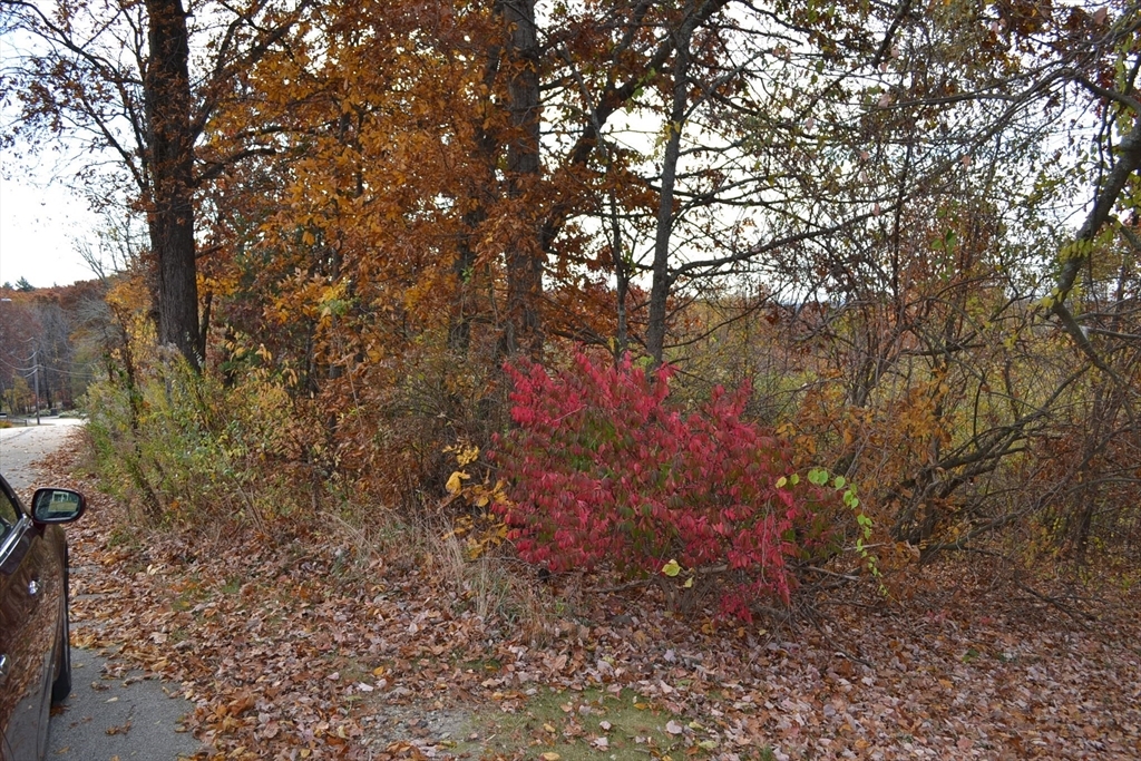 Property Photo:  Lot 9 Piasta Rd  MA 01571 