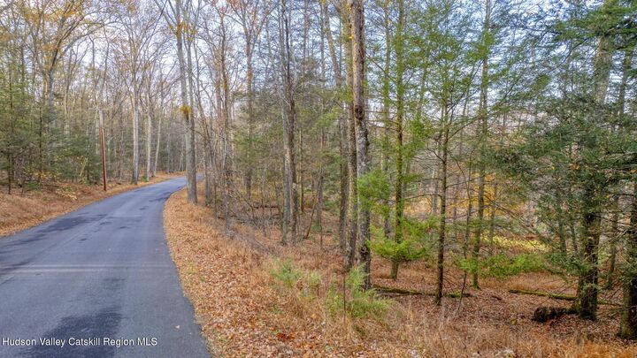 Tbd Cherry Hill Lot #1  Stone Ridge NY 12484 photo