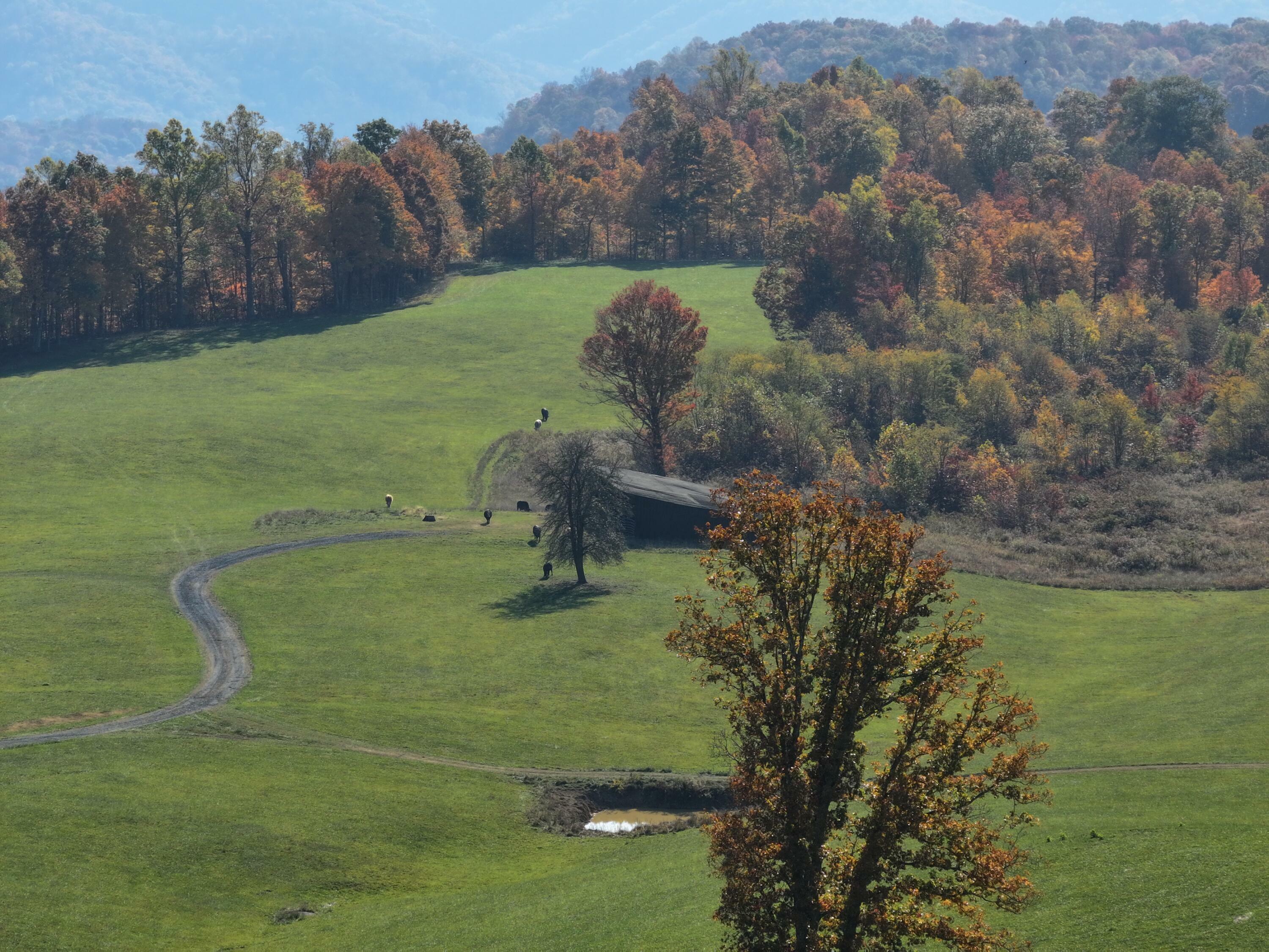 Tract A Judson Rd  Hinton WV 25951 photo