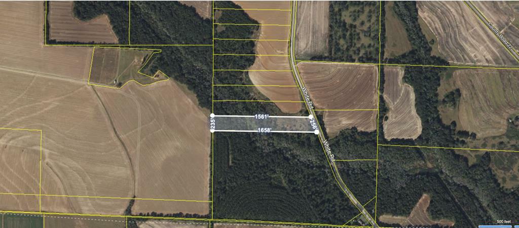 Property Photo:  0 County Road 11 Lot 14  AL 36345 