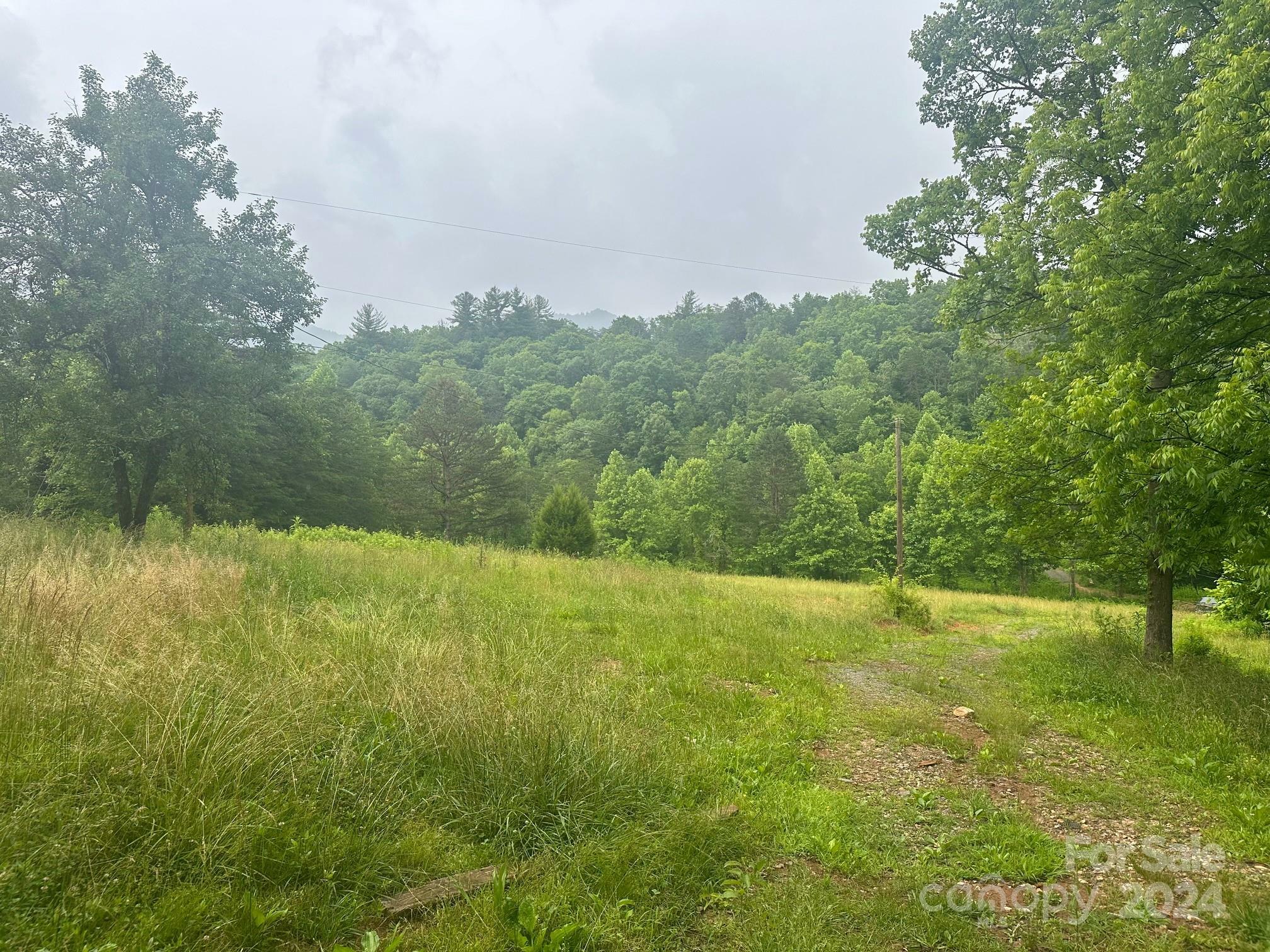 Property Photo:  514 Davistown Church Road  NC 28762 