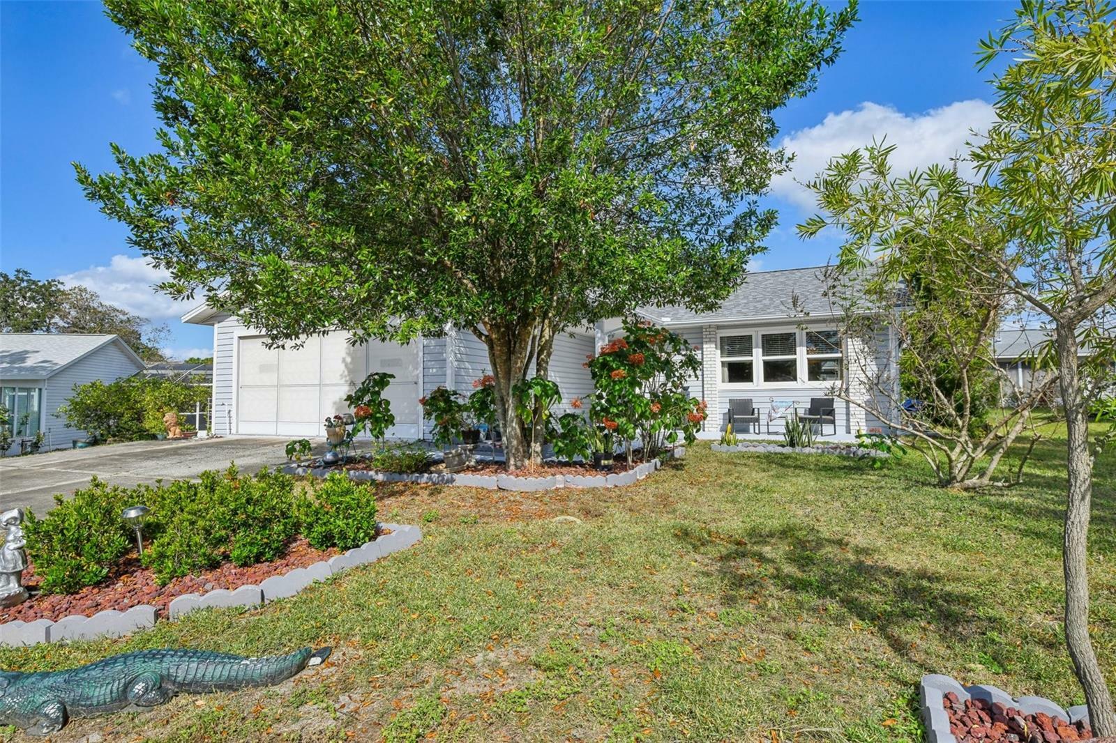 Property Photo:  1305 Moray Court  FL 34788 