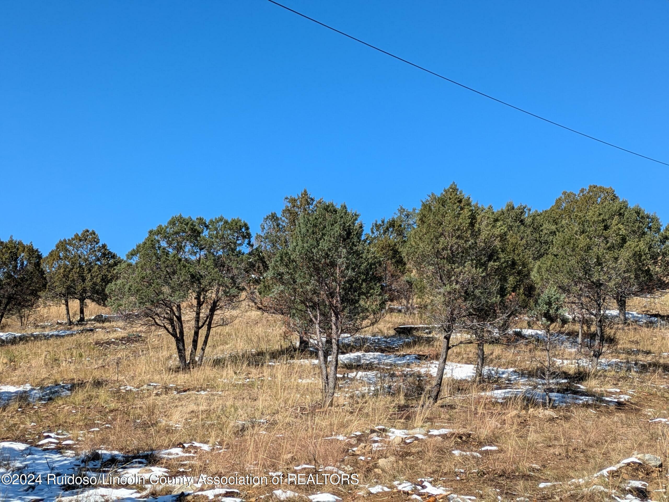 Property Photo:  Tract 27 Deer Creek Road  NM 88345 