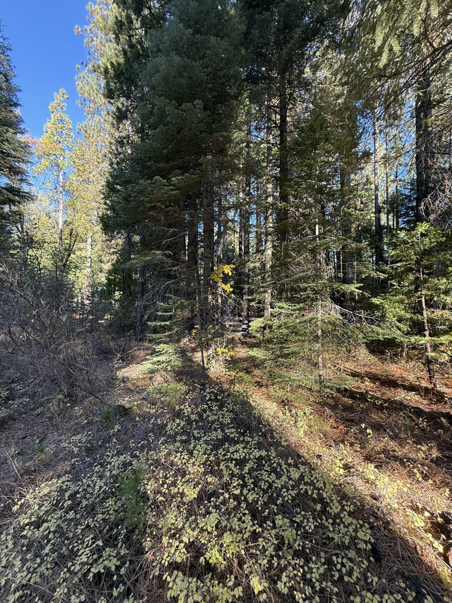 Property Photo:  Hidden Meadows Road  CA 96088 