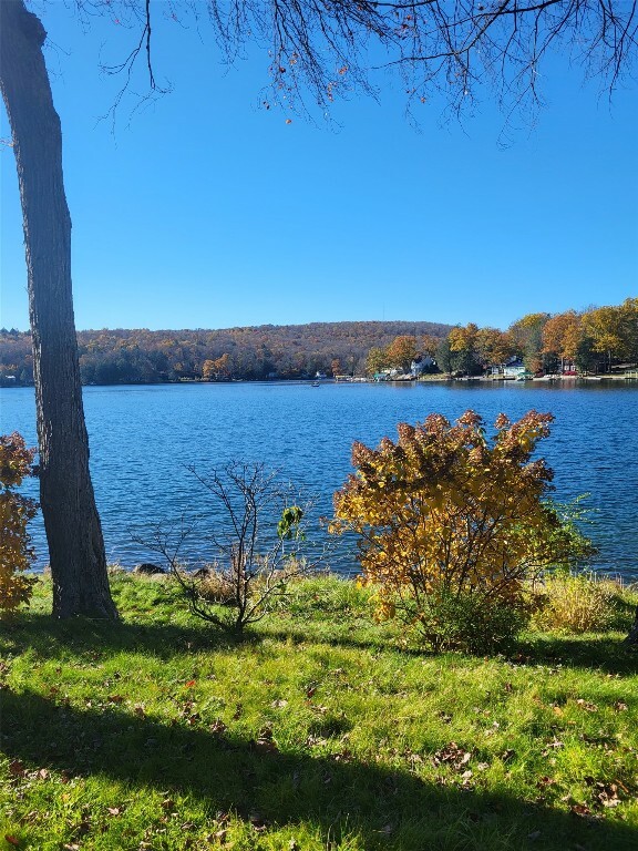 763 Oquaga Lake Road  Deposit NY 13754 photo