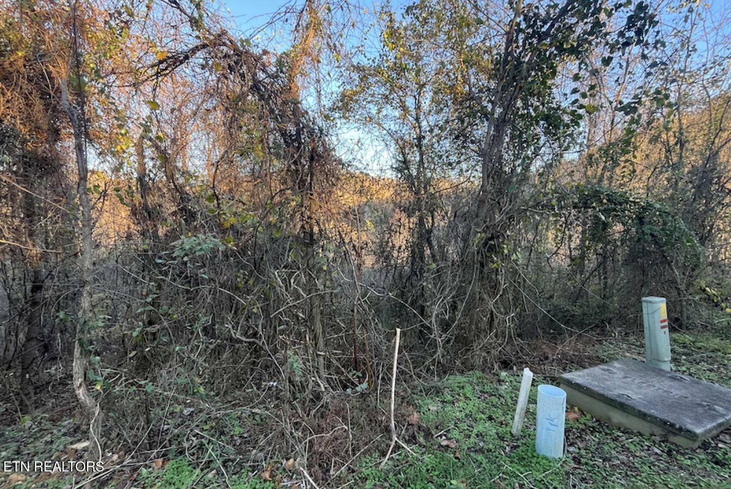 Property Photo:  Magnolia Ln Lot 488  TN 37866 