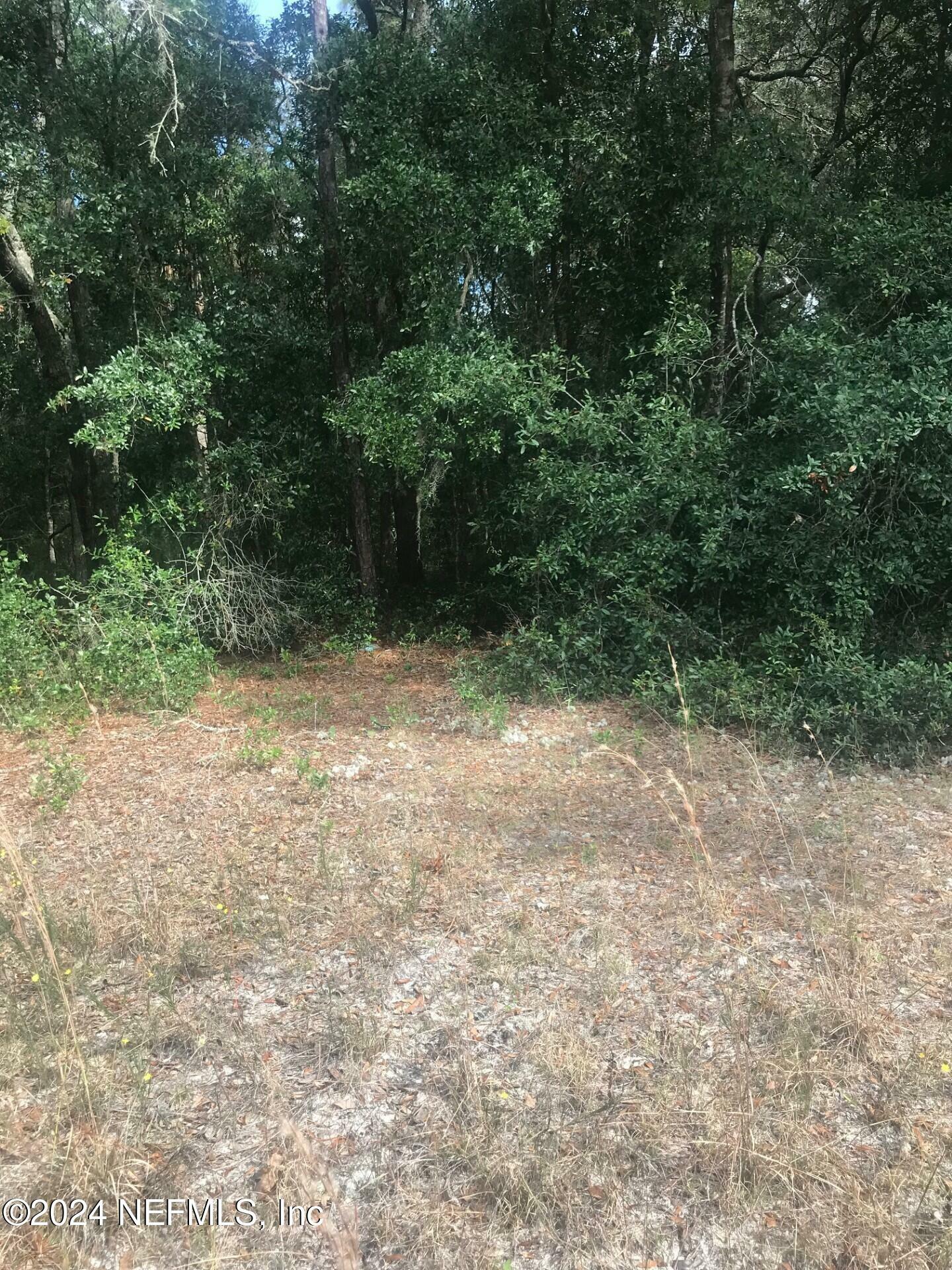 Property Photo:  0 Cordell Avenue  FL 32148 