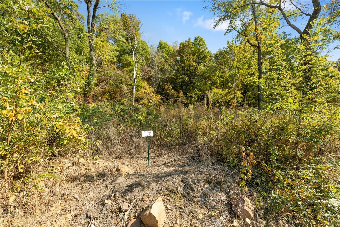 Property Photo:  Lot 7 Peaceful Place  AR 72601 