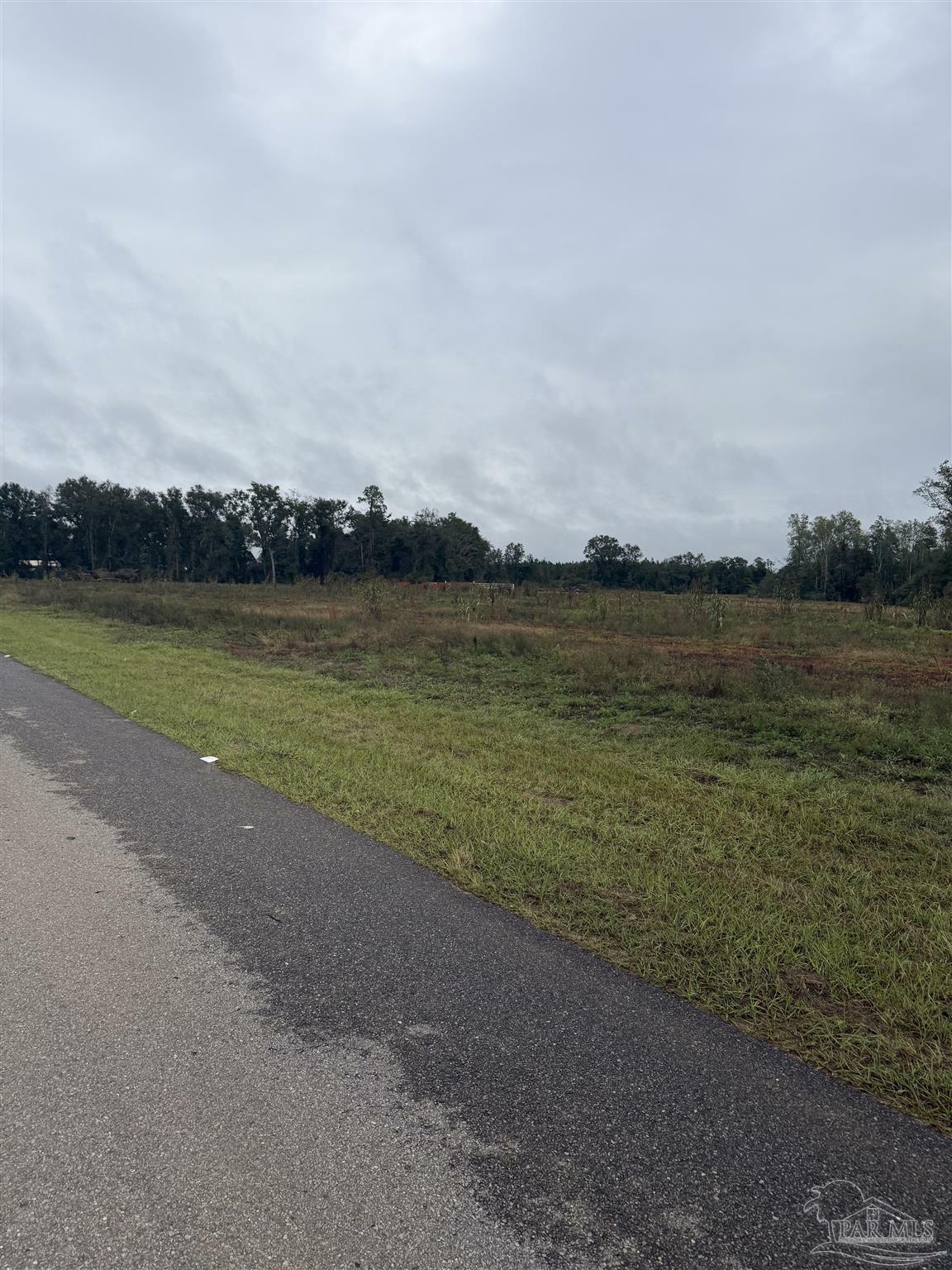 Property Photo:  Lot 3 Ard Field Rd  FL 32565 