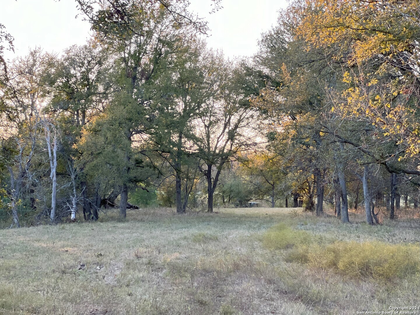 Property Photo:  735 Old Zorn Rd  TX 78666 