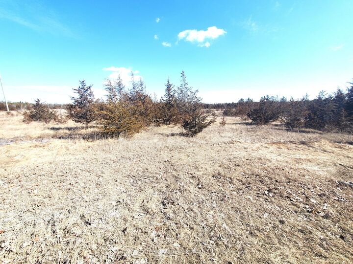 Property Photo:  521 Hwy 41 N/A  ON K0K 2W0 