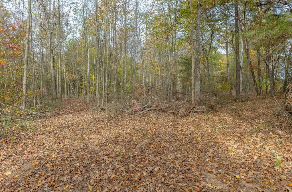 Property Photo:  Tract 3 Old Dalton Cleveland Hwy  GA 30710 