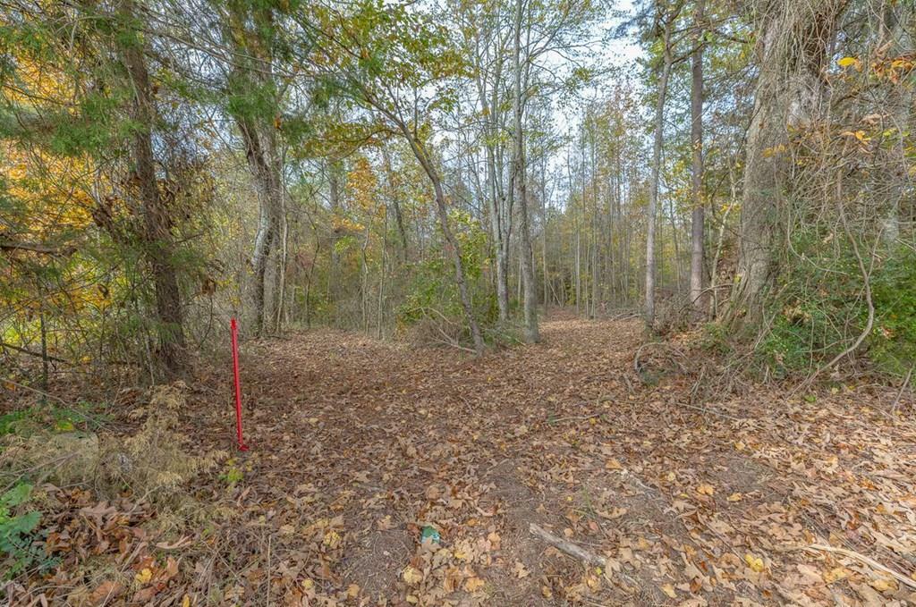 Property Photo:  Tract 4 Old Dalton Cleveland Hwy  GA 30710 