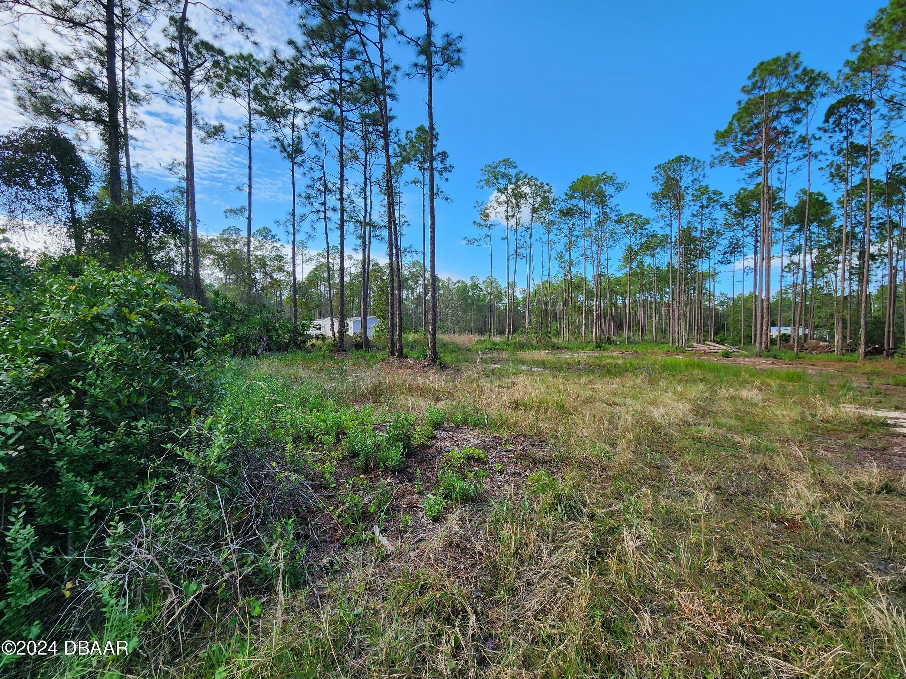 Property Photo:  5356 Nutwood Avenue  FL 32110 