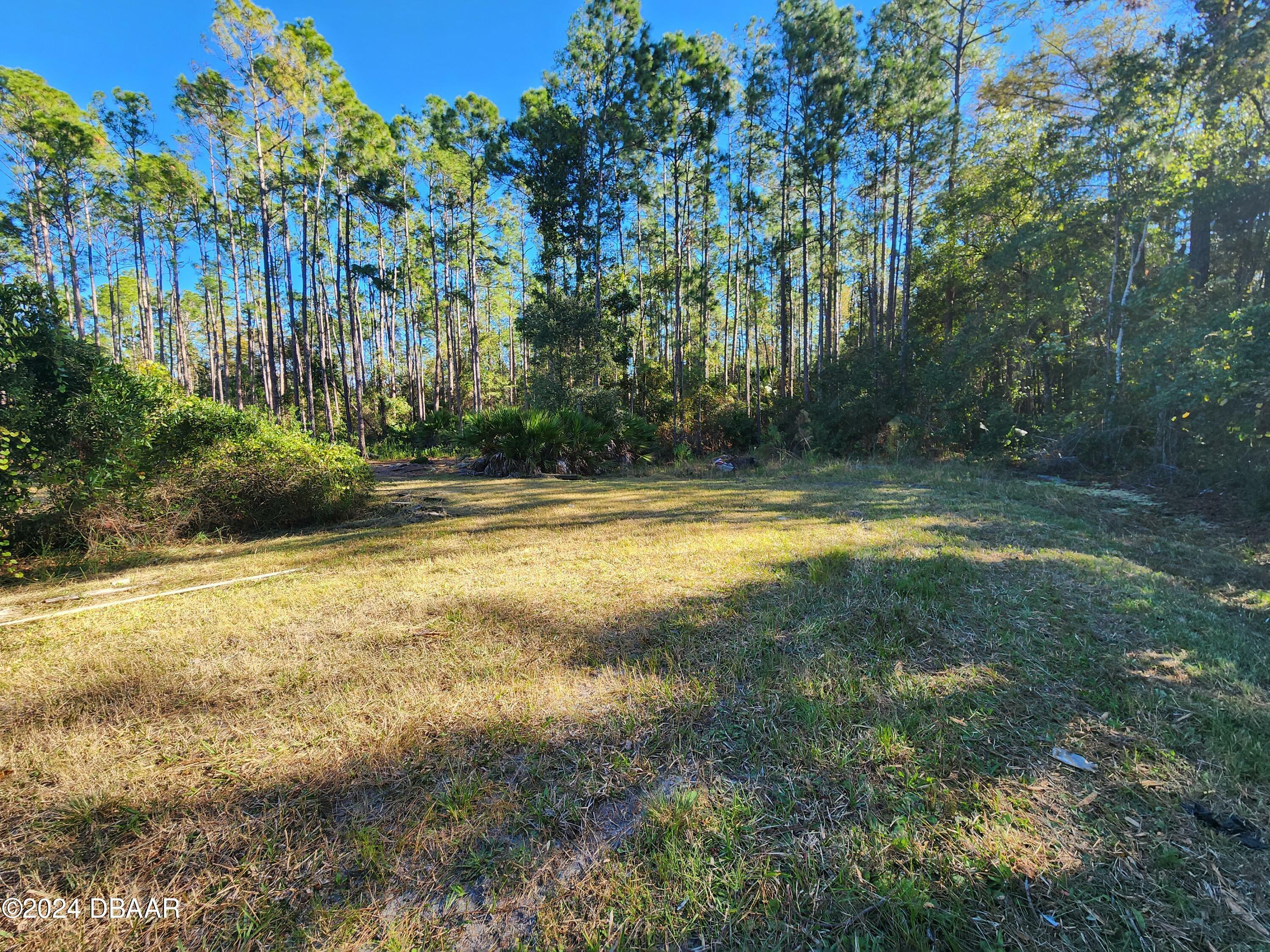 Property Photo:  5356 Nutwood Avenue  FL 32110 