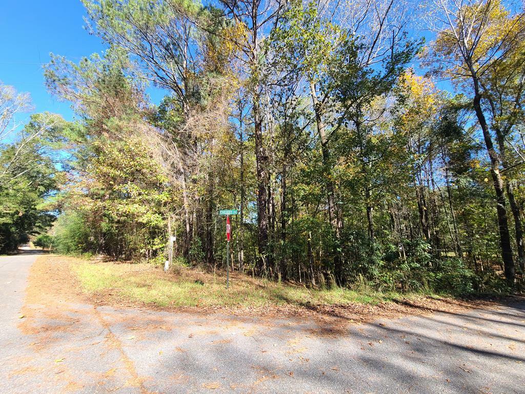 Lot 3B Cherry Drive  Waverly Hall GA 31831 photo