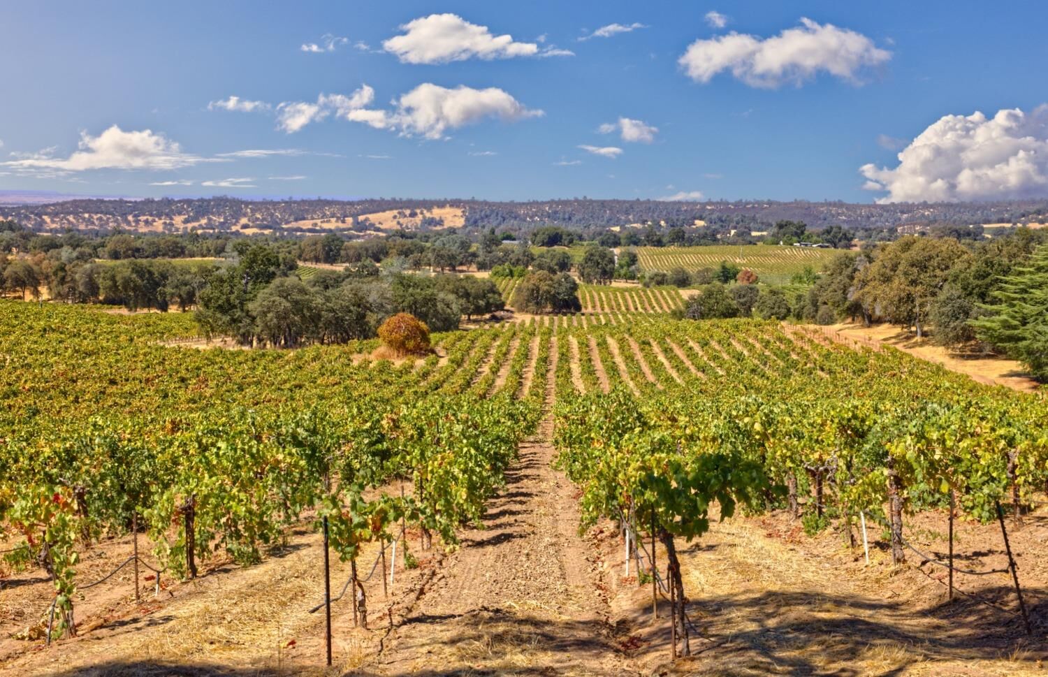 Property Photo:  0 Shenandoah School Road  CA 95669 