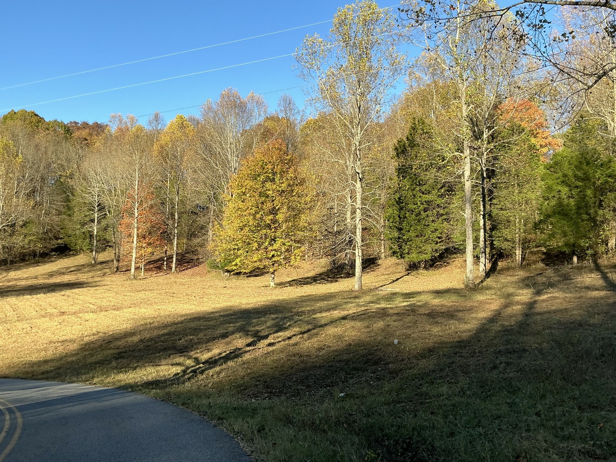 Property Photo:  375 Red Tuttle Rd  TN 37022 