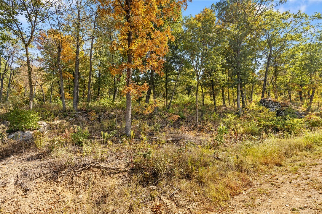 Property Photo:  Lot 46 Restore Ridge  AR 72601 