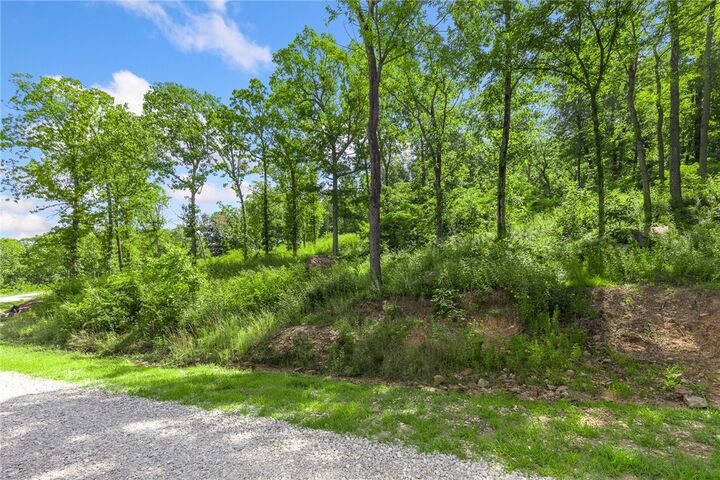 Property Photo: Lot 46 Restore Ridge AR 72601