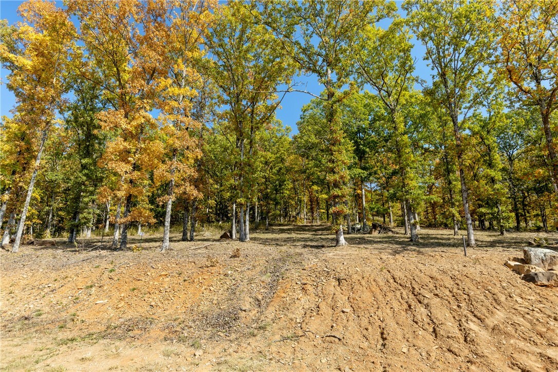 Property Photo:  Lot 23 Restore Ridge  AR 72601 