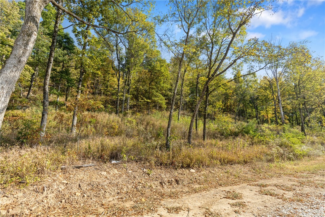 Property Photo:  Lot 9 Peaceful Place  AR 72601 