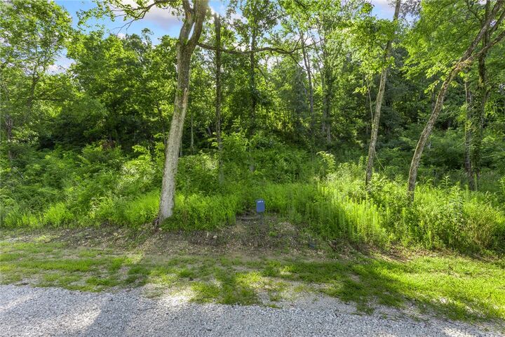 Property Photo: Lot 9 Peaceful Place AR 72601