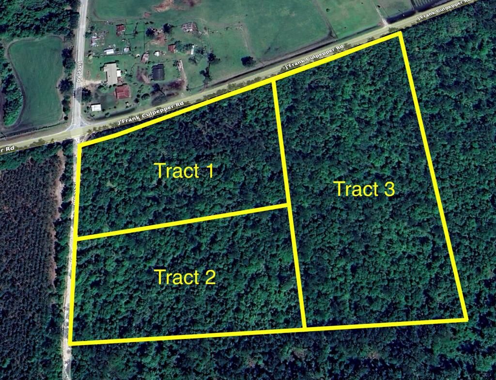 Property Photo:  Tract 3 J Frank Culpepper Rd  GA 31636 