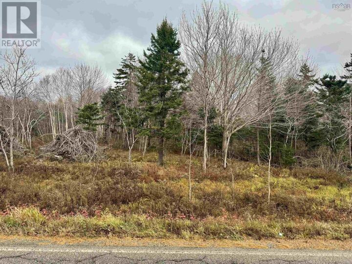 Property Photo:  No 340 Highway  NS B0W 3T0 