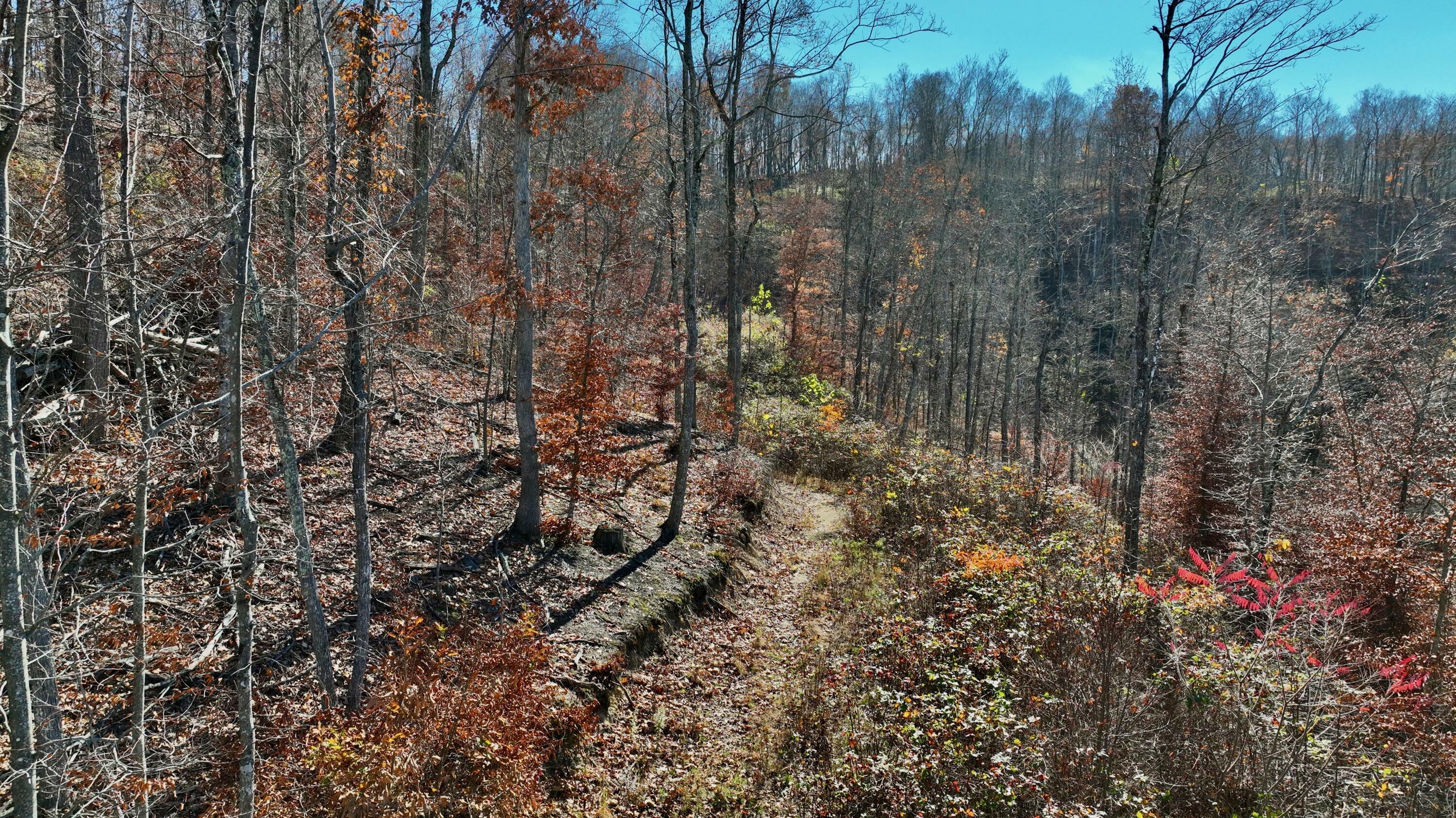 Property Photo:  Raders Valley Road  WV 24991 