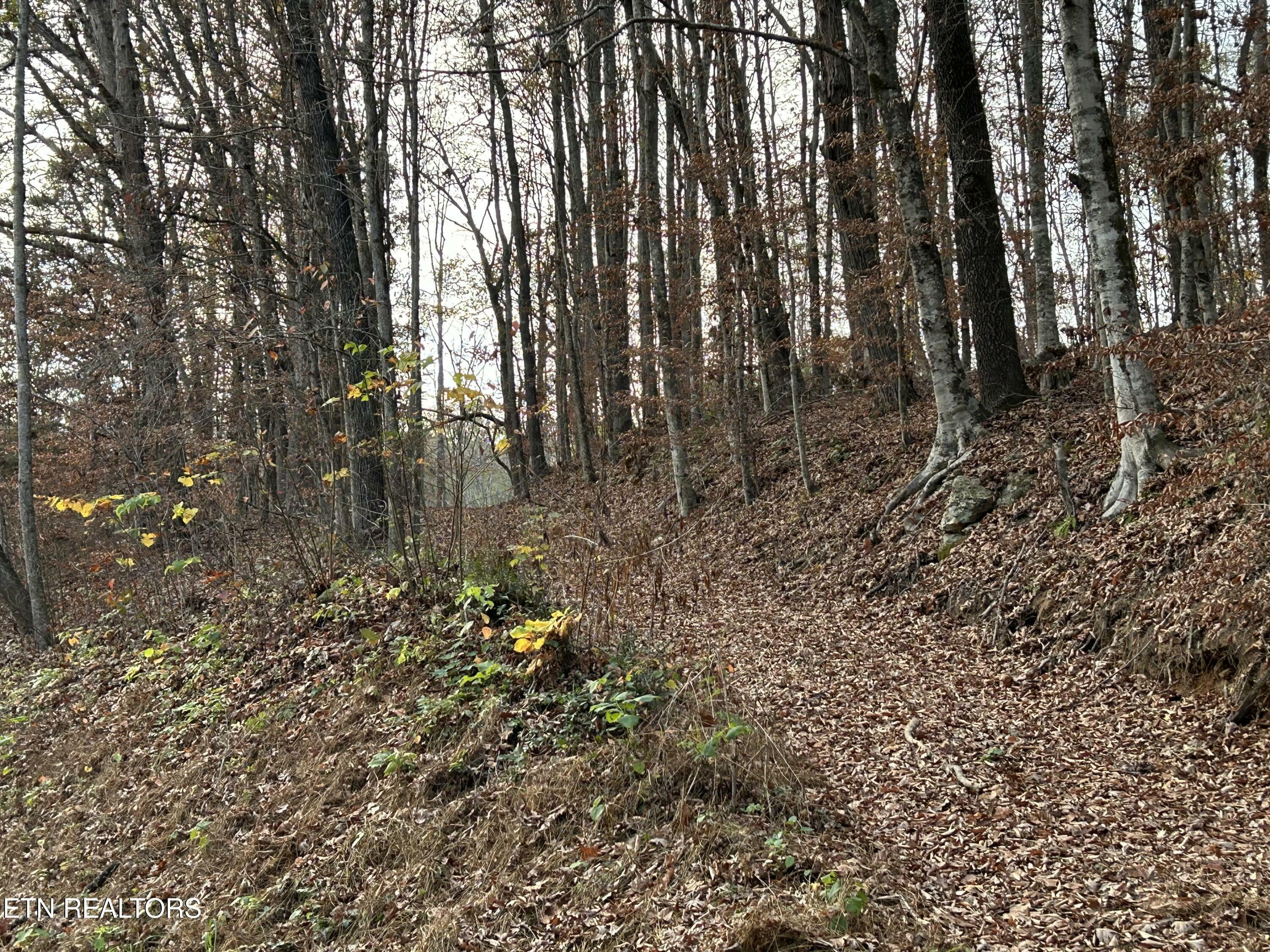 Property Photo:  Ridge Crest Rd Rd  TN 37779 