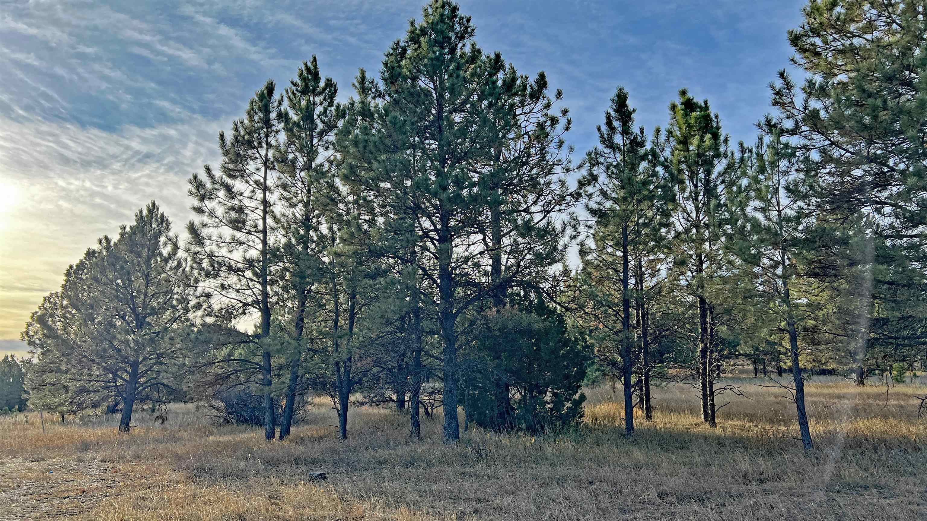 Property Photo:  Lot 2 Westwind Drive  SD 57747 