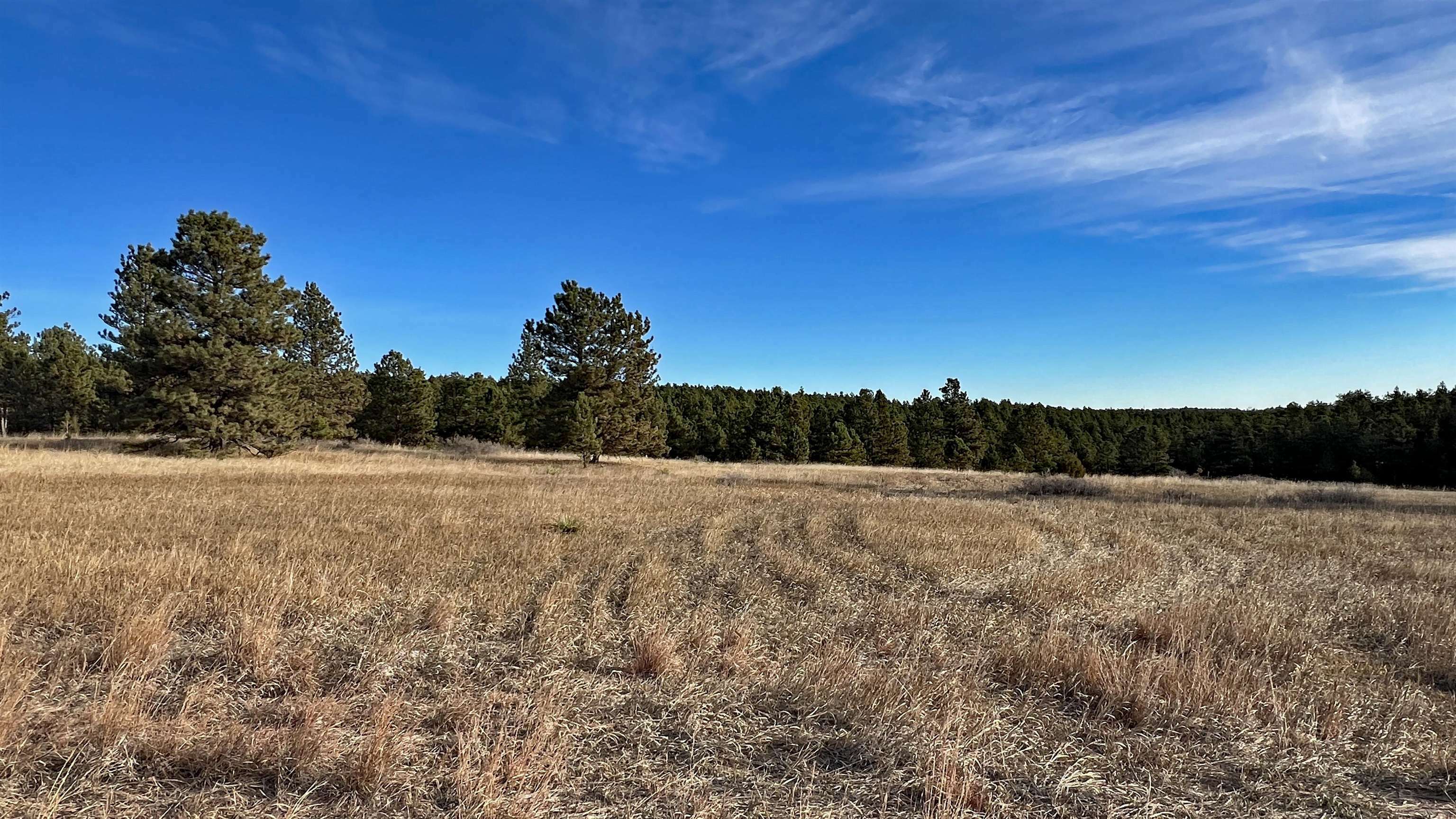 Lot 7 Westwind Drive  Hot Springs SD 57747 photo