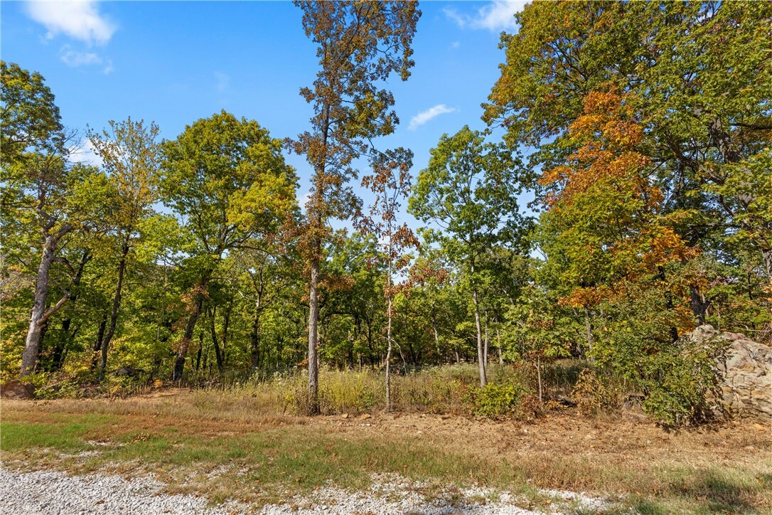 Property Photo:  Lot 86 Restore Ridge  AR 72601 