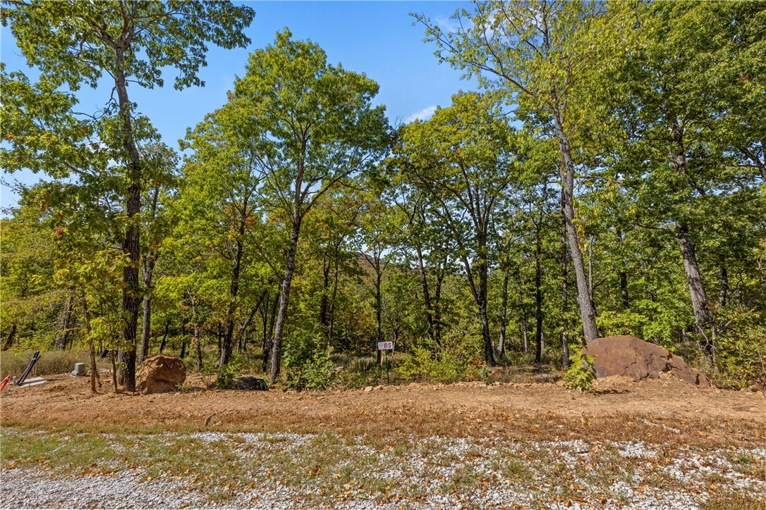 Property Photo:  Lot 85 Restore Ridge  AR 72601 