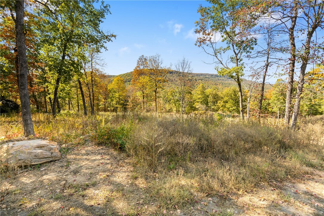 Property Photo:  Lot 73 Restore Ridge  AR 72601 