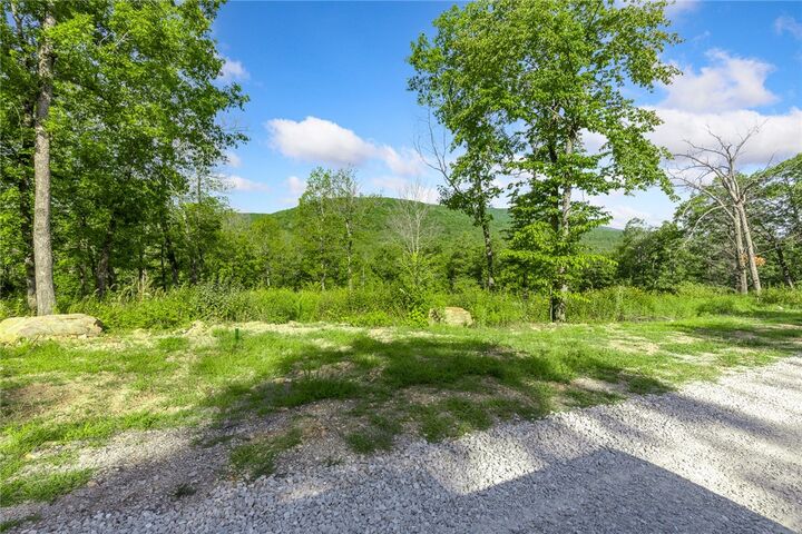 Property Photo: Lot 73 Restore Ridge AR 72601
