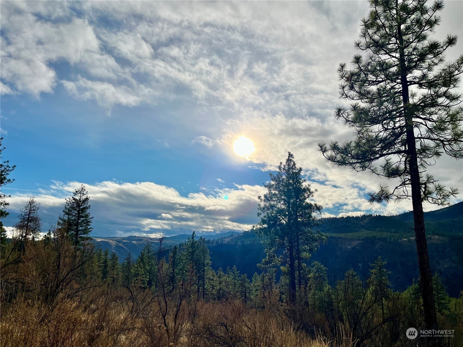 Property Photo:  0 Tract 1A Bear Mountain Road  WA 98816 