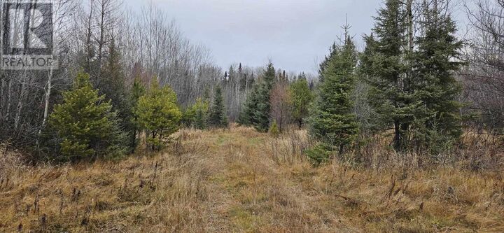 Pin #420950063 Hwy 17 — photo 1