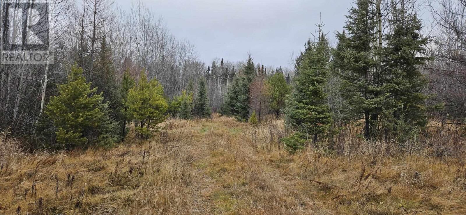Property Photo:  Pin #420950063 Hwy 17  ON P0V 1P0 
