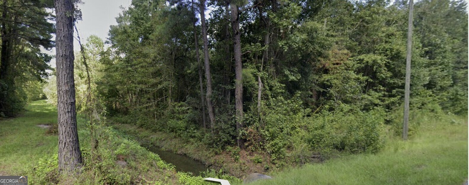 Property Photo:  Tract 1 Old Gress Island Road  GA 31320 