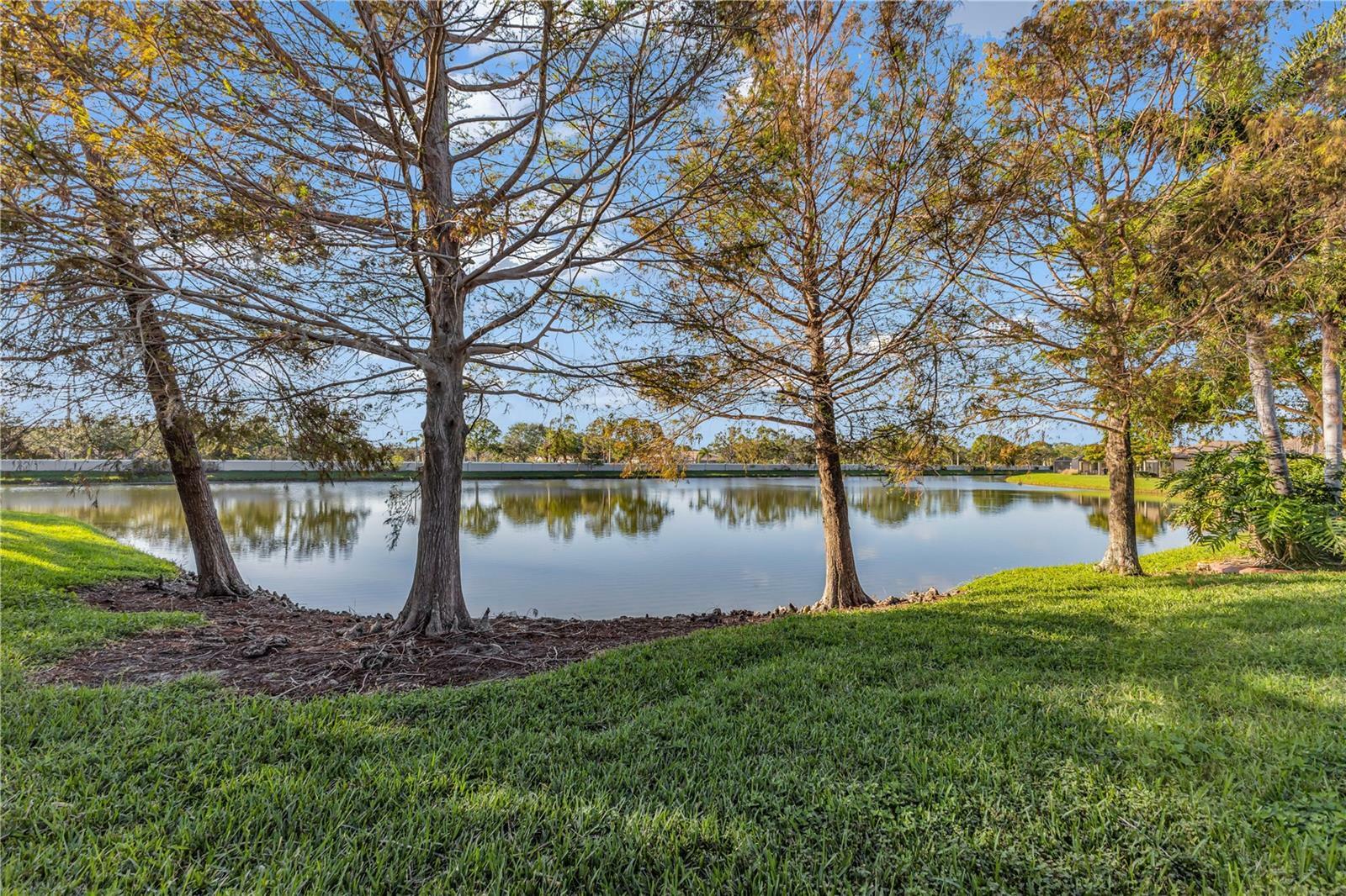 Property Photo:  8231 Stirling Falls Circle  FL 34243 