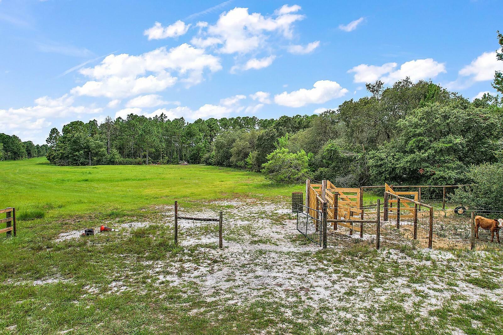 Property Photo:  31614 Bottany Woods Drive  FL 32736 