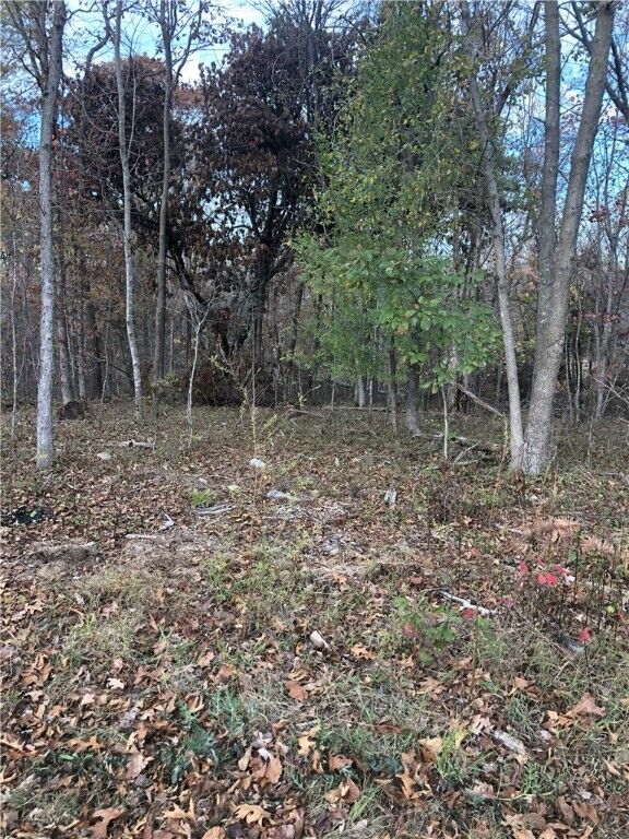 Glenwood Lane  Bella Vista AR 72715 photo