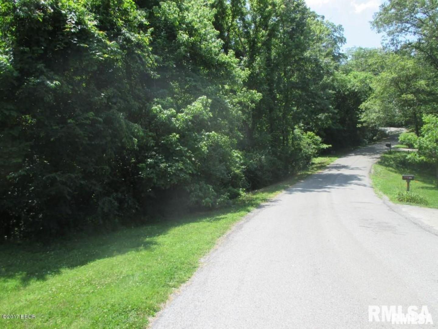 Property Photo: 000 E Lake Drive IL 62966