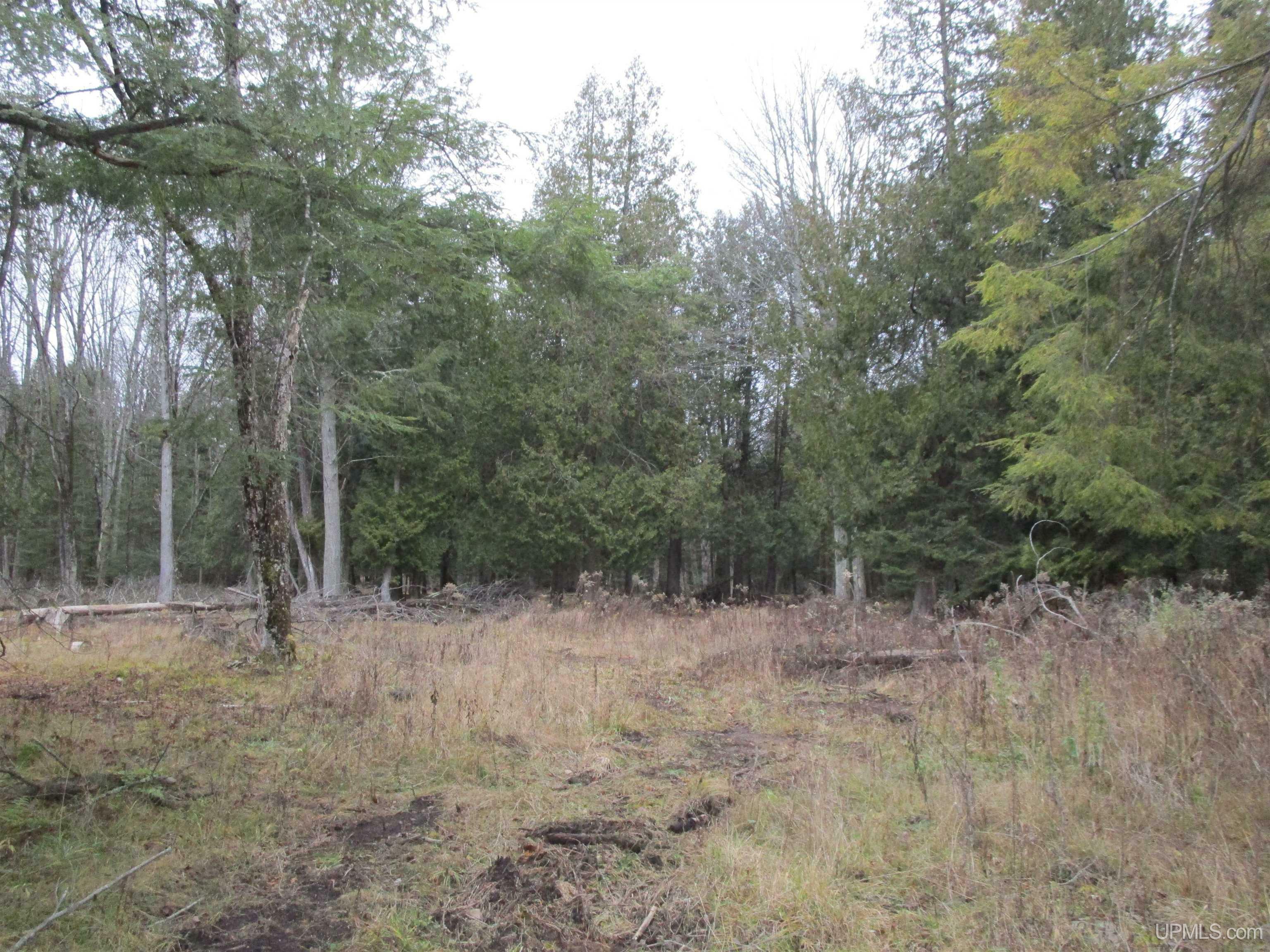 Property Photo:  3844 9th Lane Road  MI 49807 